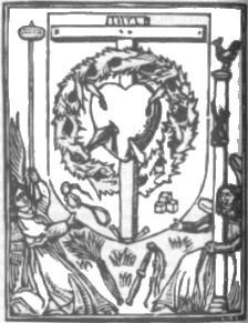 Image 212