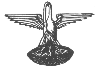 Image 214