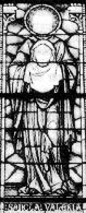 Image 230