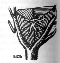 Bestiaire du Christ. Louis Charbonneau-Lassay.