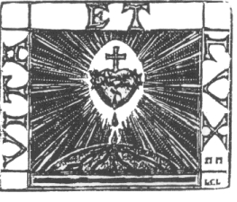 Image 246