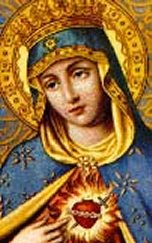 Image 204