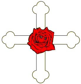 Image 223